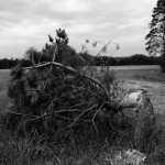 Polen - Rszeszotko - Foto Weltenschummler - CC BY-SA 2.0.JPG (17)